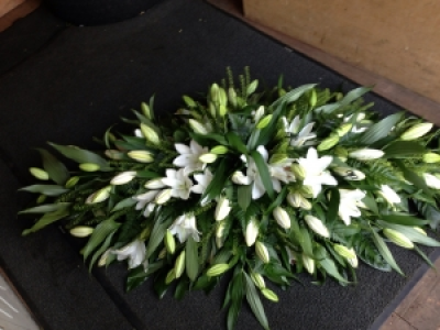 Lily Oasis - All  White Lily Oasis
